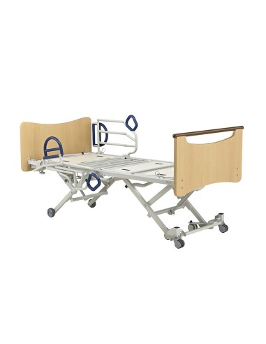 CAMA AERYS