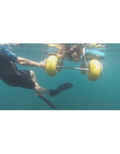 SNORKEL-ENABLE