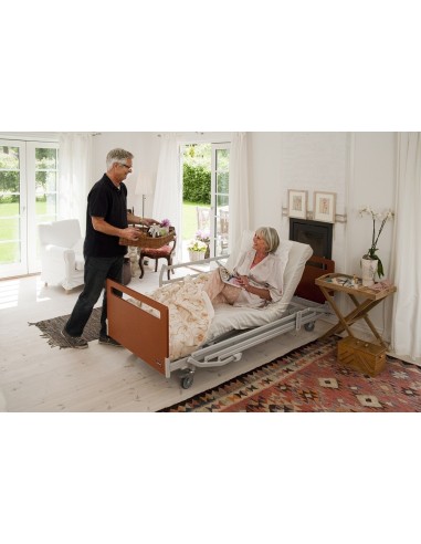CAMA ALEGIO CON CARRO ELEVADOR