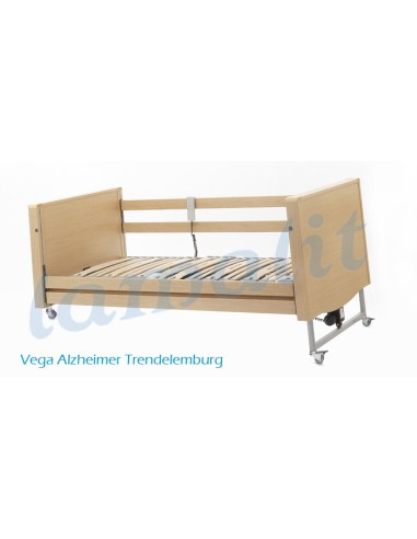 CAMA VEGA ALZHEIMER